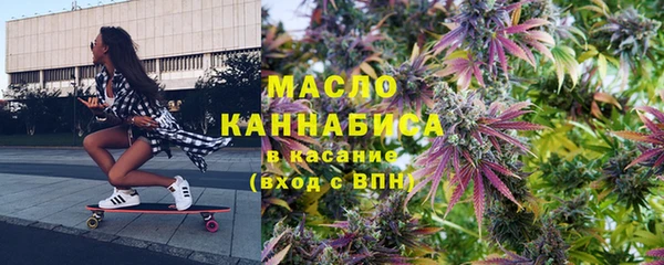 индика Новокубанск
