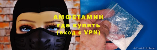 индика Новокубанск