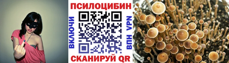 Псилоцибиновые грибы Magic Shrooms  Алатырь 